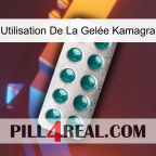 Utilisation De La Gelée Kamagra dapoxetine1